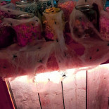 Breed Almere Bv Boisson