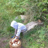 Grieks Mykonos B.v. Gorinchem Exterior