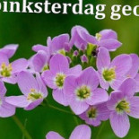 Siam Thai Ijmuiden Boisson