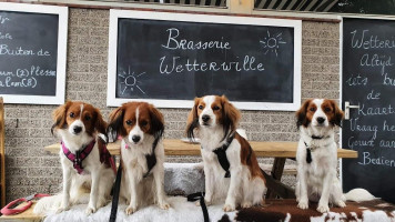 Brasserie Wetterwille