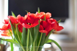 Bumbu Bali Deventer Bebida