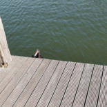 Rivers Marnemoende Boisson