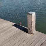 Rivers Marnemoende Boisson