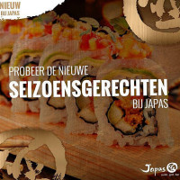 Japas Vof Ermelo food