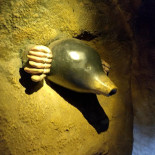 Boomkroonpad Boisson