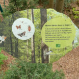 Boomkroonpad Extérieur