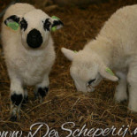 De Scheperij Boisson