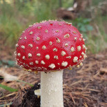 Boerderij Onder De Eik Boisson
