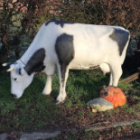 Café-dancing Waldeslust Exterior