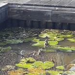 An't Waeter Extérieur