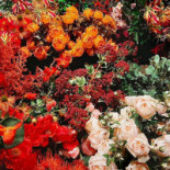 Espeterhoeve Extérieur