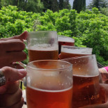 New Beethoven Boisson