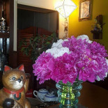 Andaman Thais Eetcafe À l'intérieur