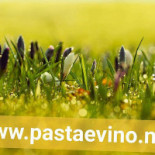 Pasta E Vino Boisson