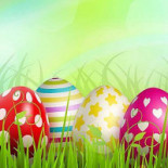 Pasta E Vino Boisson