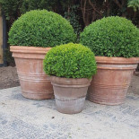 Pasta E Vino Extérieur