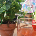 De Dansende Kater Boisson