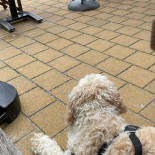 Strandbar Thuishaven Esterno