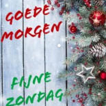 Bastiaansen Modestad Extérieur