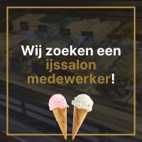 De Dorpskamer Van Leek