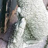 Erve De Wezel Boisson