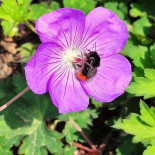 La Vita Gieten Boisson