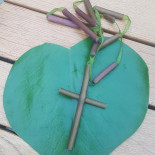 De Halewijn B.v. Beverwijk Boisson