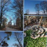 Twentsch Geluk Exterior