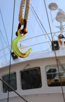 Waddenpaviljoen De Noorman, Beleef Lauwersoog drink