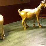 De Gouwe Gheijt drink