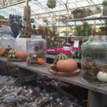 Intratuin Barneveld Exterior