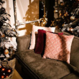 Intratuin Barneveld Bebida