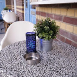 Café De Smidte Workum Boisson