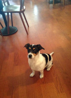 De Vergulde Turf Gorredijk Boisson