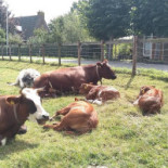 Uitspanning Goejanverwelle Extérieur