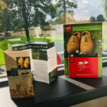 De Stempel Babberich Extérieur