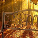 Mcdonald's Extérieur