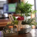 Arcense Herberg Boisson