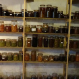 'hermans Dijkstra' Midwolda Boisson