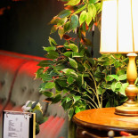 Le Temps Perdu Boisson