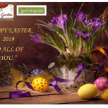 Pop-up Silly's Carte