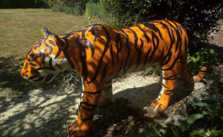 Japas Vof Ermelo drink