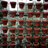 De Hollandsche Tuyn Leiderdorp Boisson