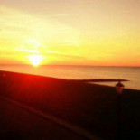 De 3 Harinkjes Boisson