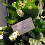 Döner En Pizza Zwanenburg Getränk