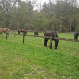 Herberg In Den Bockenreyder Exterior