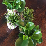 Wegrestaurant A4 Boisson