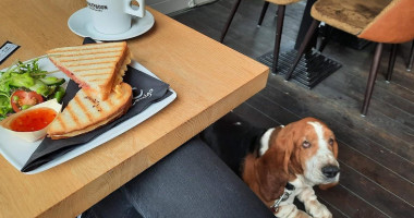 Comigo Nuenen Boisson