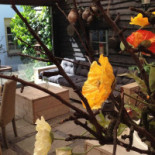 VOF 't Regthuijs Minuman