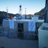 Chinees-indisch Lotus Extérieur